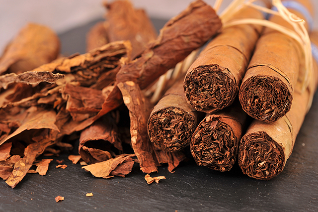 Nguyên nhân và cách khắc phục nhanh gọn điếu cigar khô mốc