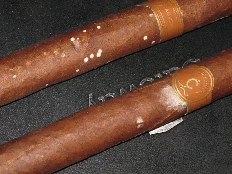 Nguyên nhân và cách khắc phục nhanh gọn điếu cigar khô mốc