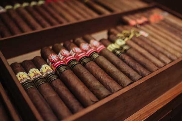 Tư vấn cách bảo quản cigar mùa hanh khô