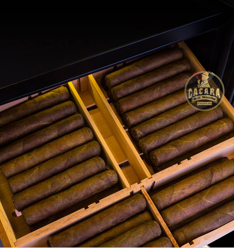 Tư vấn mẹo ủ, nuôi nhiều loại cigar trong tủ xì gà sang xịn