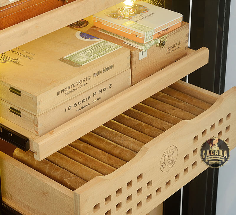 Cần lưu ý gì khi xếp cigar vào tủ bảo quản chính hãng?