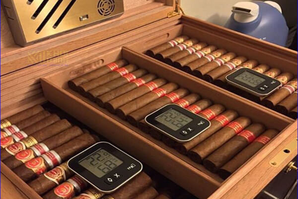 Bảo quản hộp đựng xì gà cigar như thế nào đúng chuẩn?